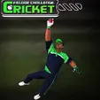 CRICKET FIELDER CHALLENGE GAME - Unblocked Games